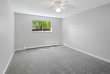Ceiling fan